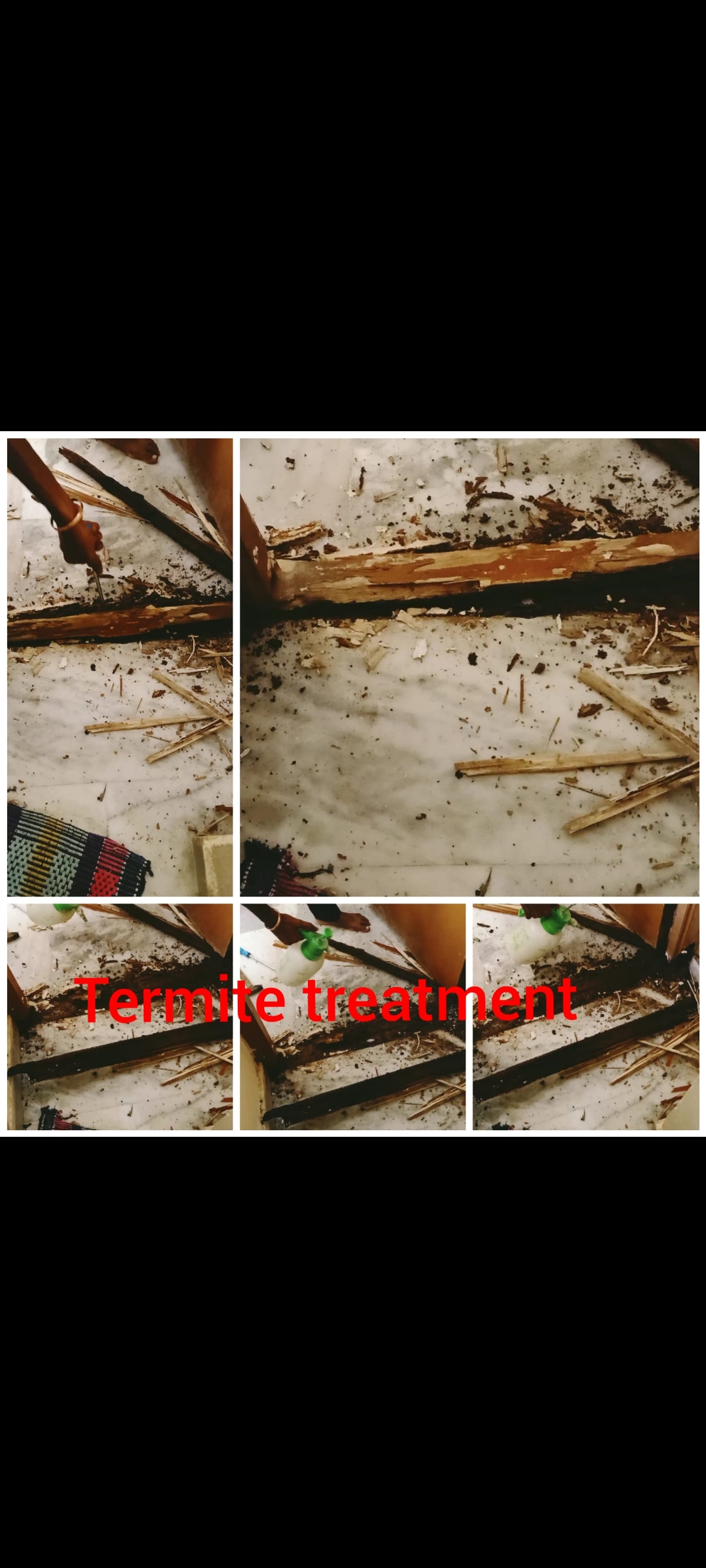 Termite treatment