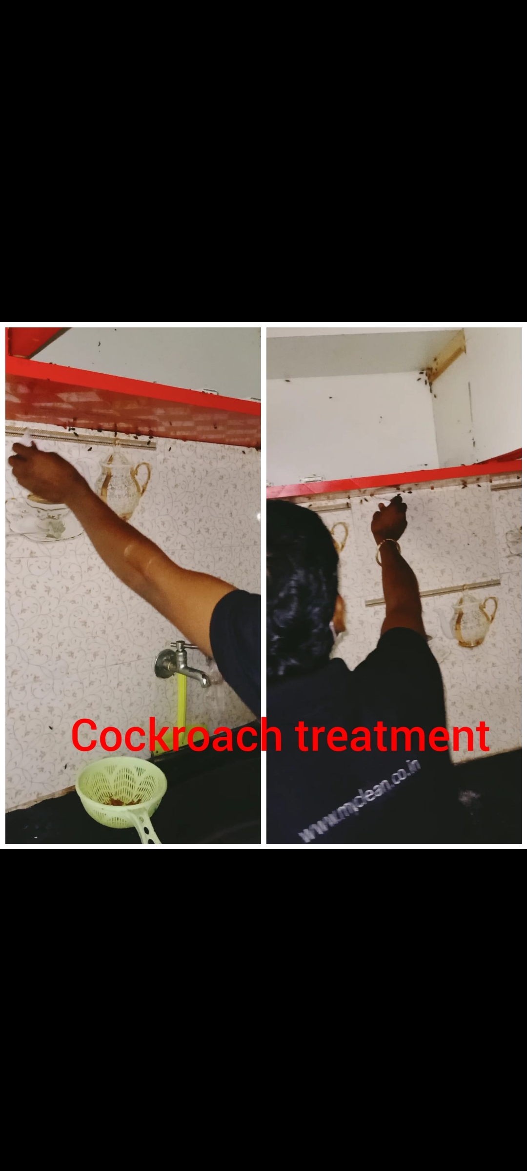 Cockroach treatment